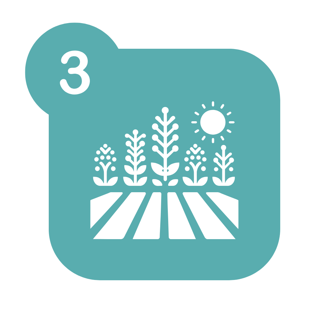 Formations approfondissement en ABA